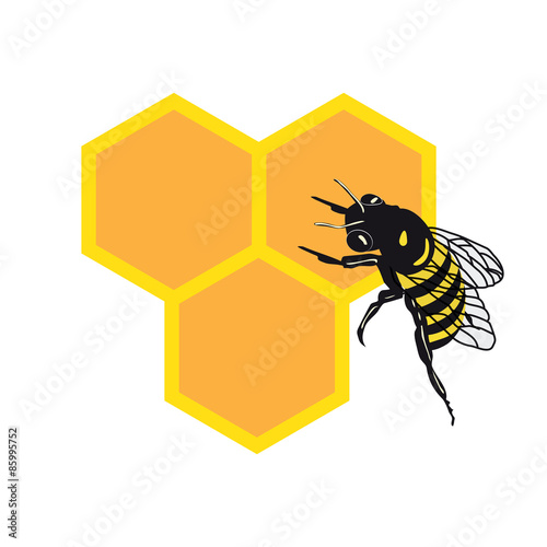 BEE AND HONEY COMB ILLUSTRATION VECTOR