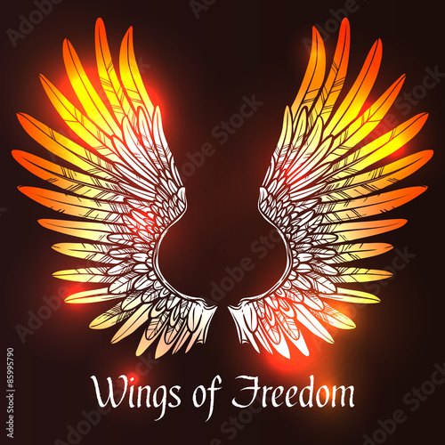 Wings Sketch Illustration