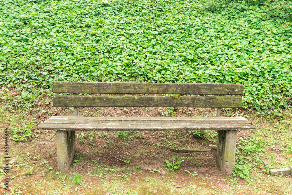 Sitzbank im Park mit grüner Hintergrund aus Blätter Sitzbank im Park mit grüner Hintergrund aus Blätter