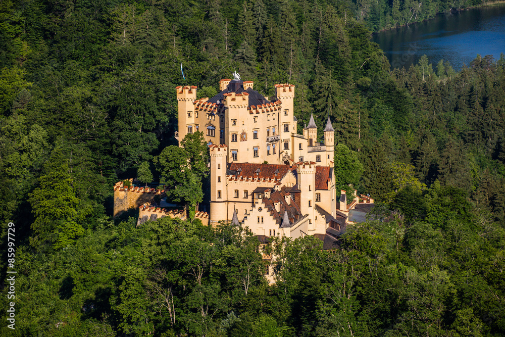 Obraz premium Schloss Hohenschwangau am Schwansee