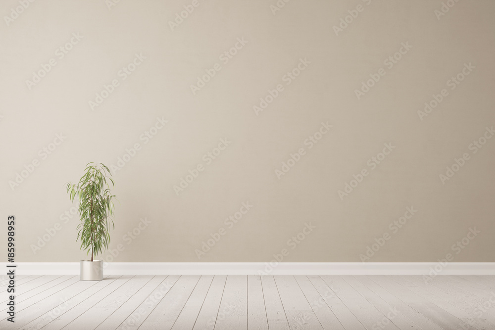 Oleander vor Wand auf Boden - obrazy, fototapety, plakaty 