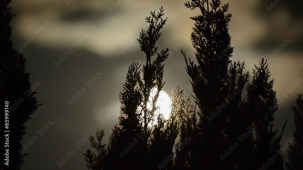 Abendlicht - wenn der Vollmond vorbeiziehende Wolken erleuchtet