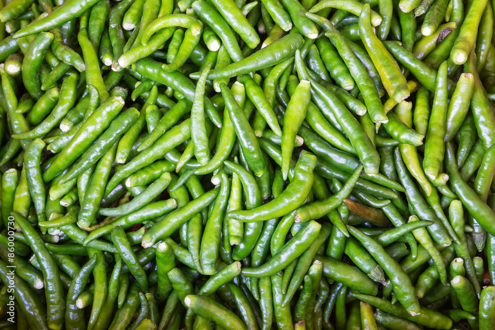 Colorful green chilies pepper Colorful green chilies pepper