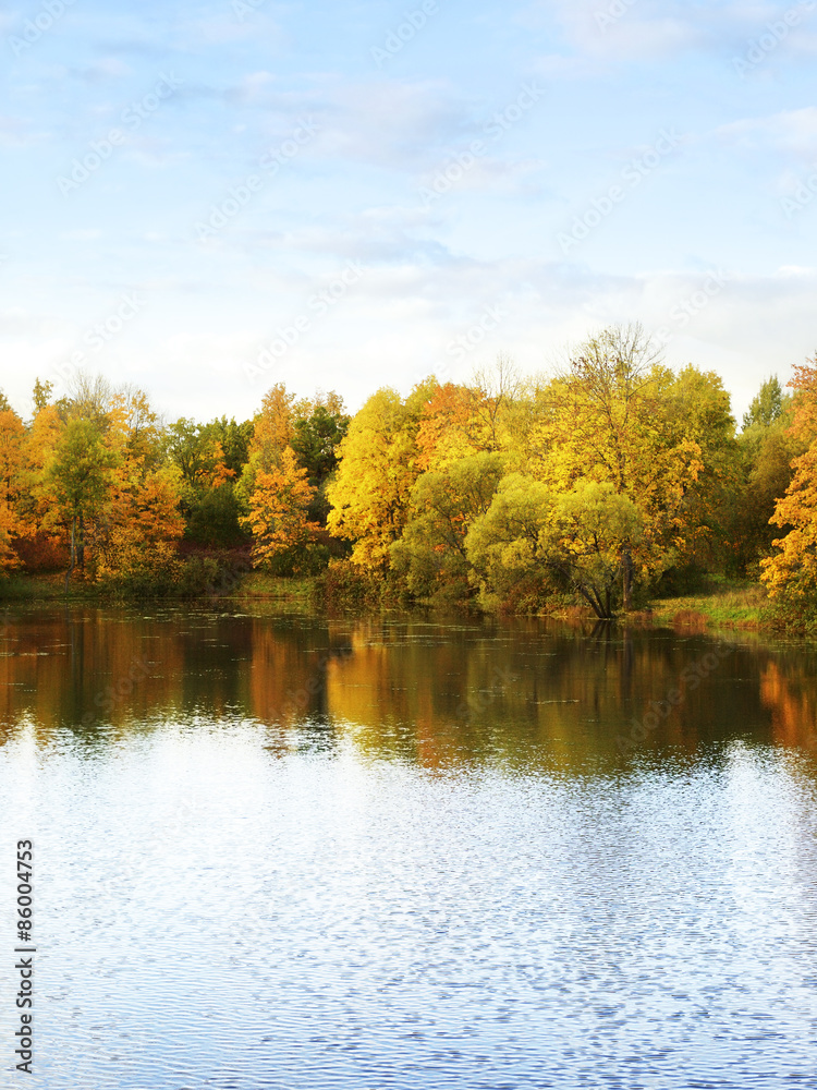 Obraz premium Autumn Landscape