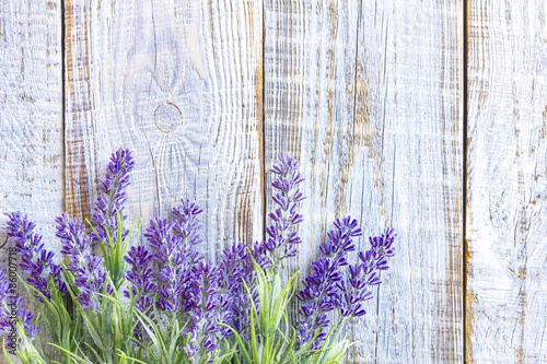 Fototapeta Naklejka Na Ścianę i Meble -  lavender
