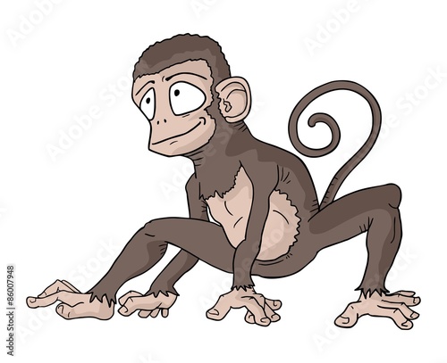 Monkey vector