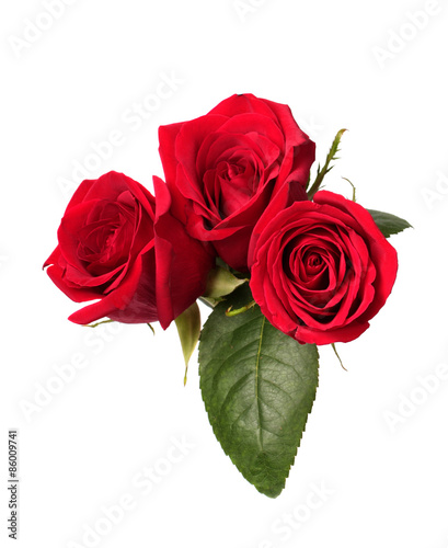 Fototapeta Naklejka Na Ścianę i Meble -  Three red roses