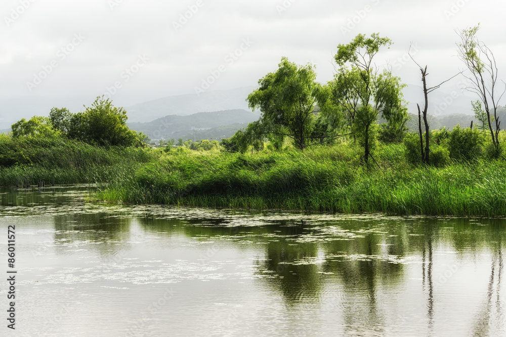 Gyeongpo Wetlands Park