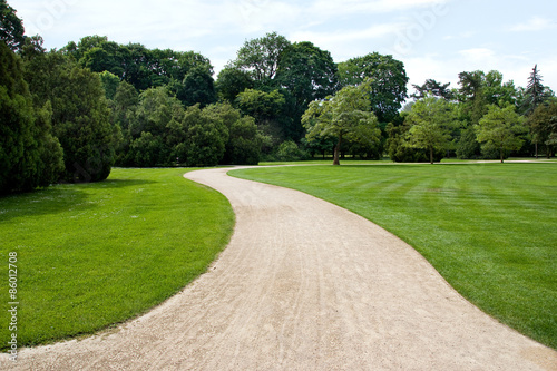 Fotografia twisting path in the park