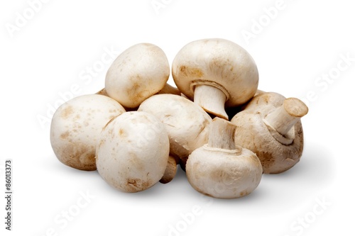 Edible Mushroom, Food, Fungus.
