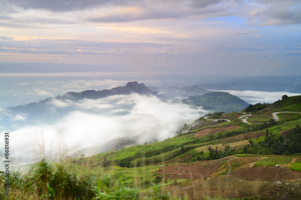 Beautiful flowing fog on the mountain.