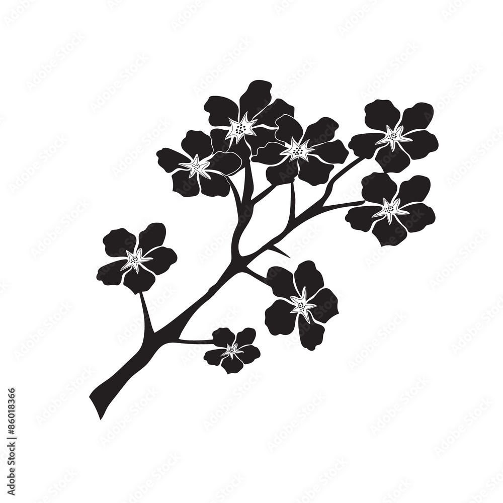 Black And White Cherry Blossom Vector