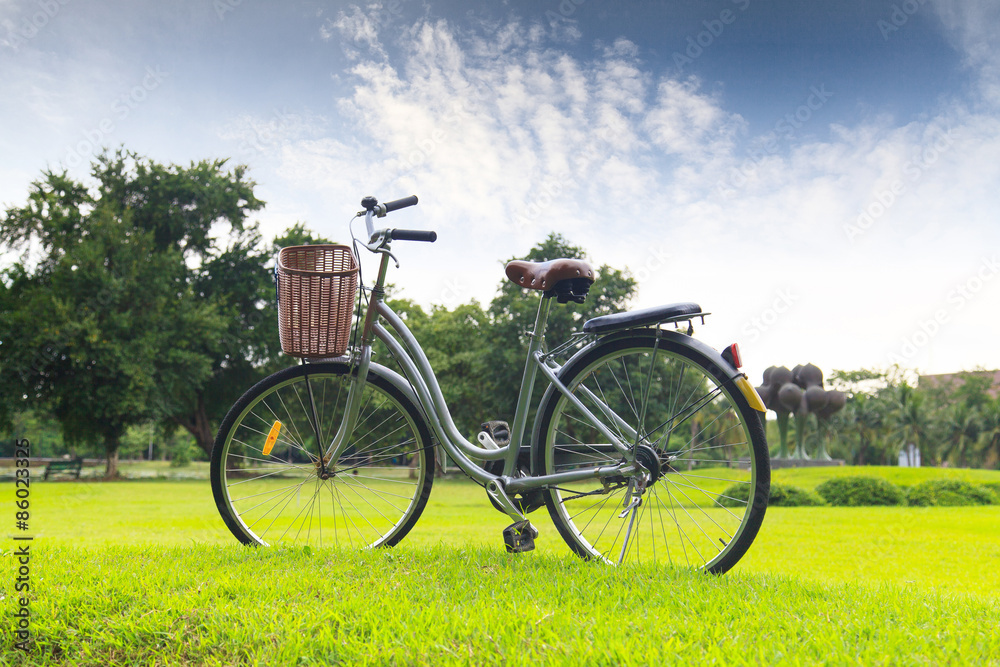 Obraz premium Bicycles in the park
