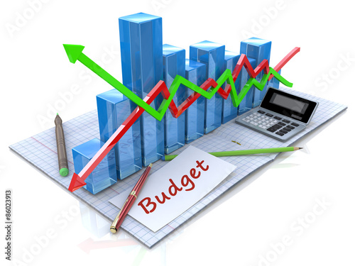 Business analysis, calculation of the budget