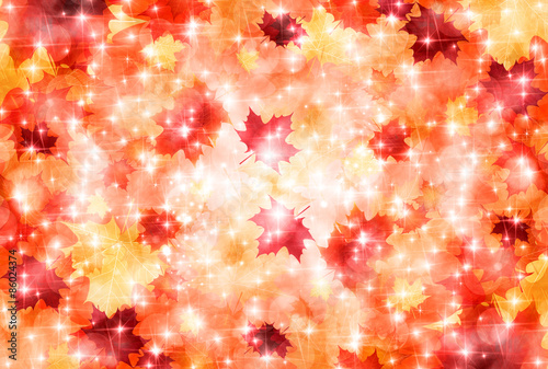 もみじ　紅葉　背景
