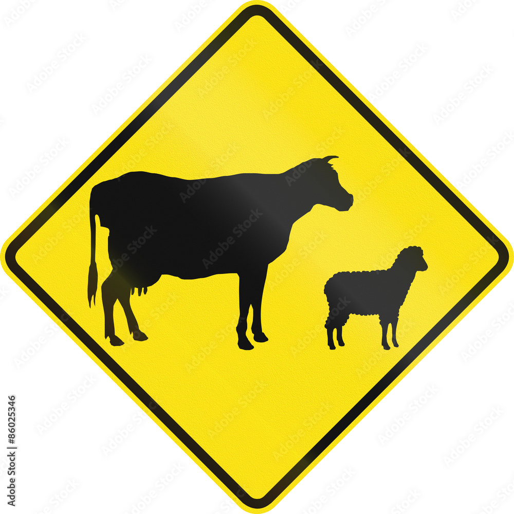 Australian road warning sign - Domestic animal crossing Australian road warning sign - Domestic animal crossing