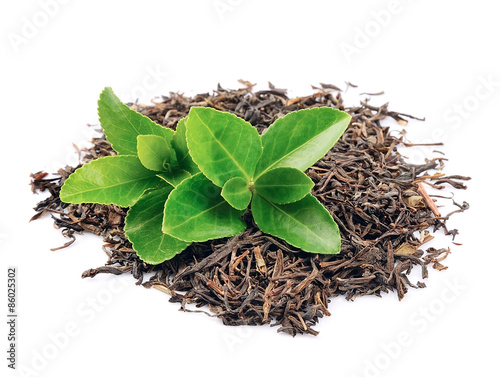 Tea leaves