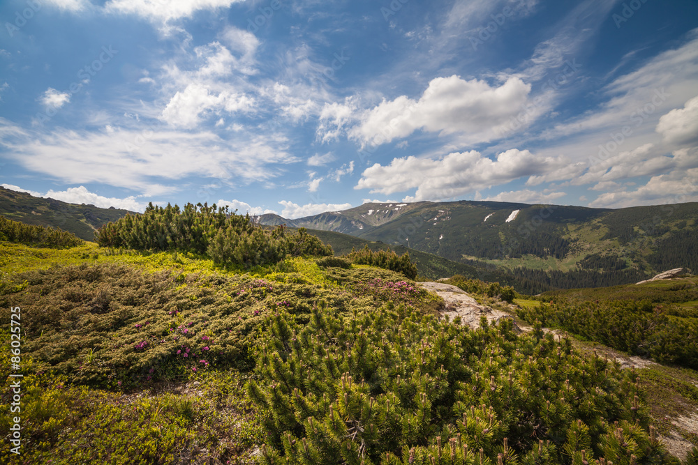 Fototapeta premium panorama view of the mountains and cliffs