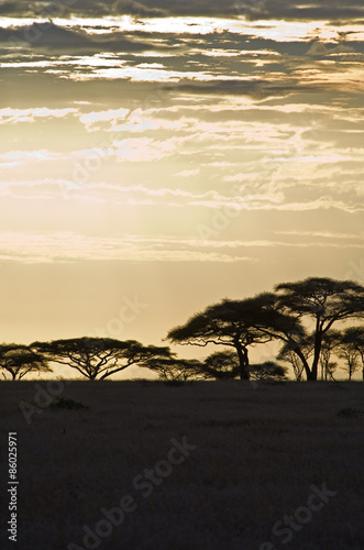 Tanzania, Serengeti National Park, Seronera area at down