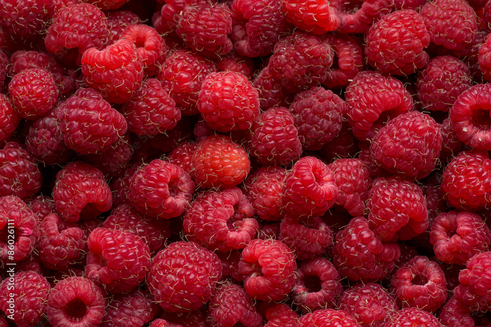 Raspberry fruit background Raspberry fruit background