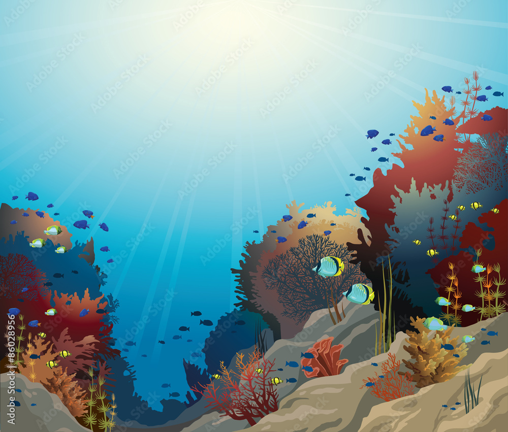 Obraz premium Underwater seascape and coral reef.