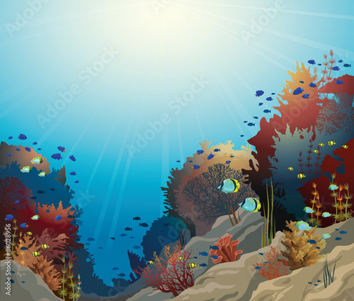 Fototapeta Naklejka Na Ścianę i Meble -  Underwater seascape and coral reef.