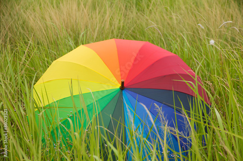 Stock Photo - Colorful umbrella on the field