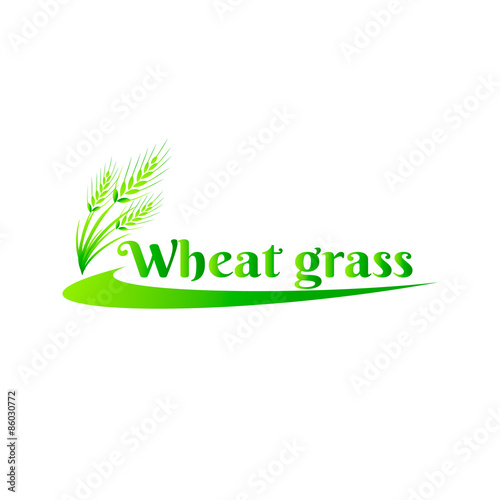 Wheatgrass green juice. Logo, banner, frame for business, the