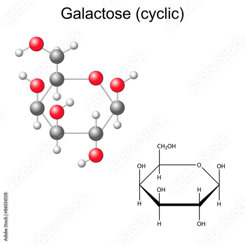 Structural chemical formula and model of galactose