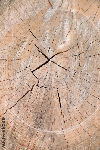 Circles cutting wood