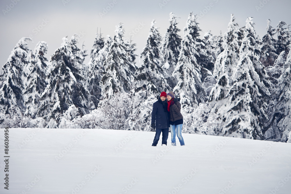 Paar Mann Frau Wald Schnee stehen
