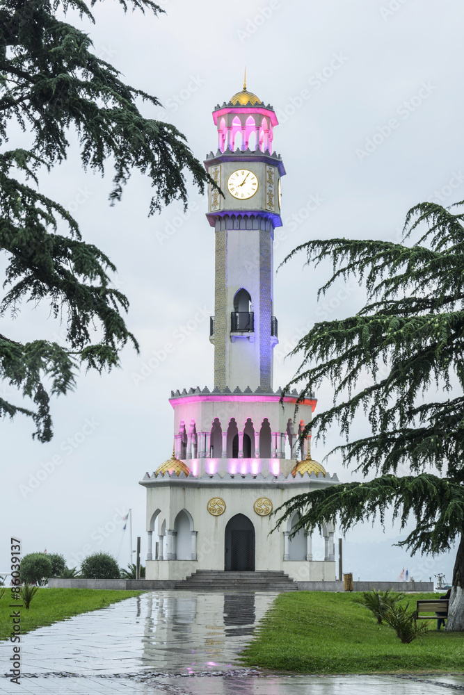 Fototapeta premium View of Batumi