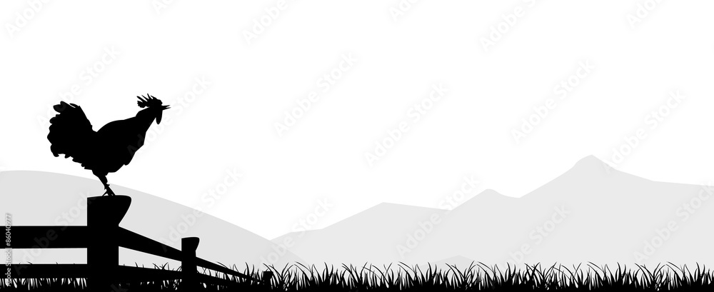Fototapeta premium cock standing silhuette design vector rooster isolated