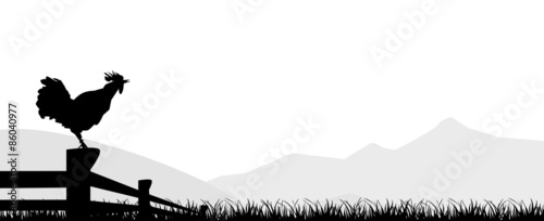 cock standing silhuette design vector rooster isolated