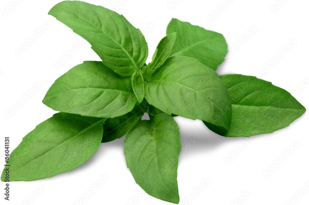 Basil, Spice, Food. Basil, Spice, Food.