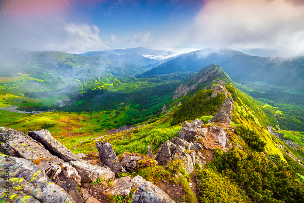 Fototapeta premium Colorful summer sunrise in the foggy Carpathian mountains.