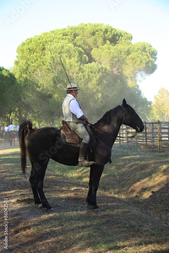 Toscana, Grosseto, Butteri photo