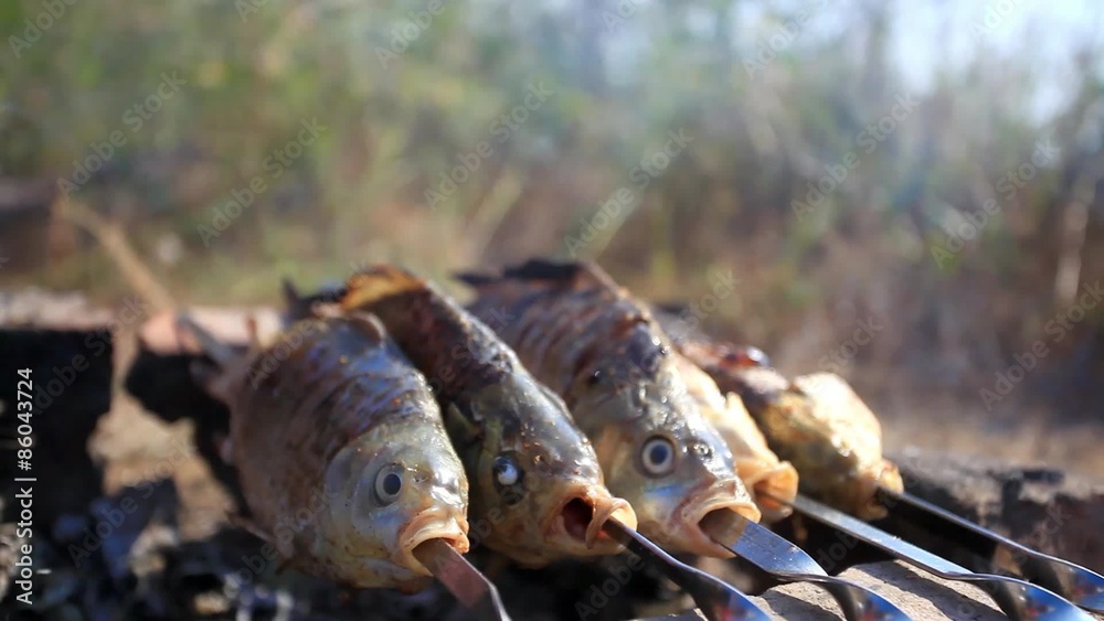 process of fish preparation. Fish grilling on a barbecue in process of fish preparation. Fish grilling on a barbecue in