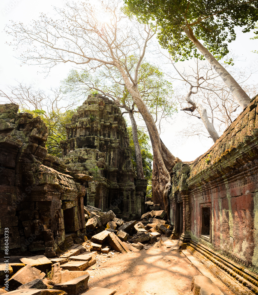 Naklejka premium Ta Prohm