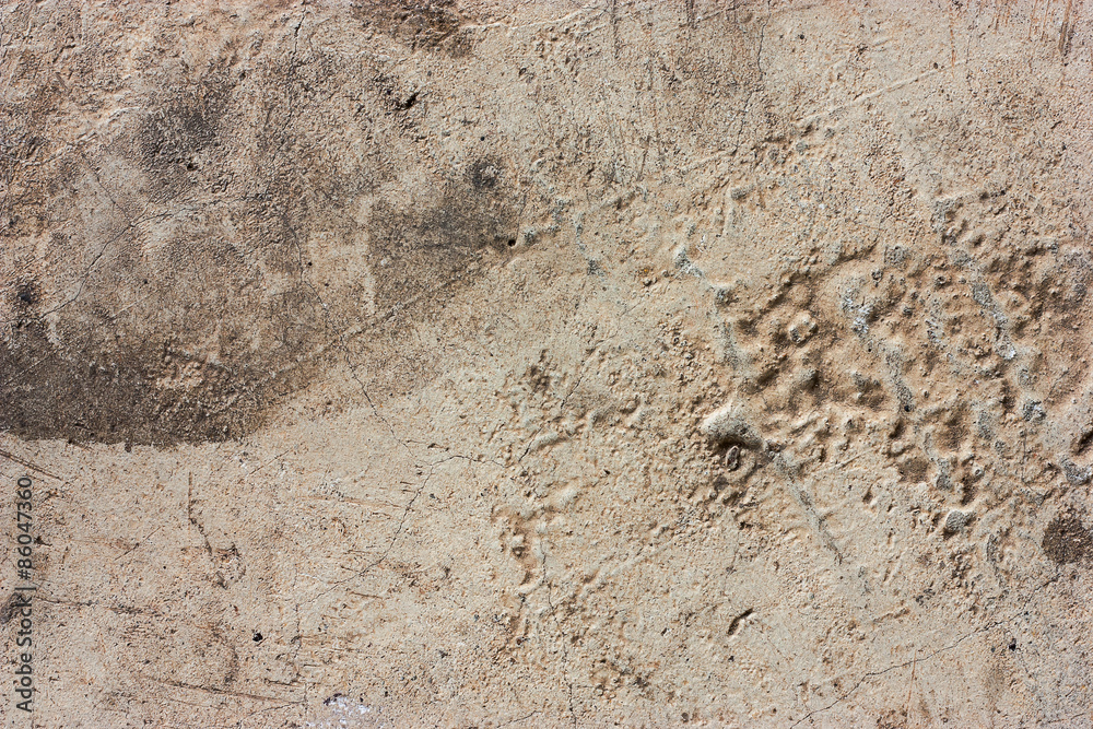 Cement floors are old and dirty. Cement floors are old and dirty.