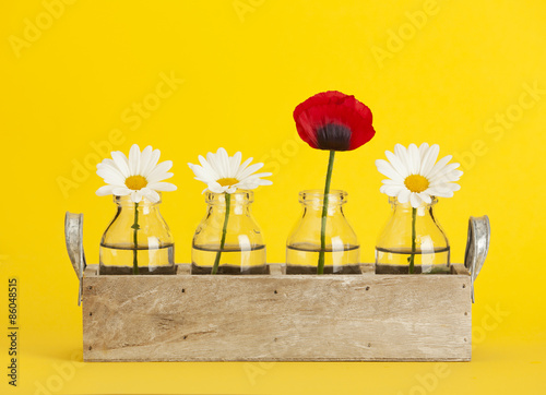 Fototapeta Naklejka Na Ścianę i Meble -  Daisy and Poppy flowers in wooden tray with small bottles, yellow background