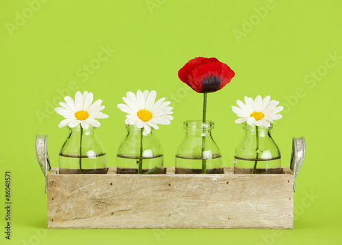 Fototapeta Naklejka Na Ścianę i Meble -  Daisy and Poppy flowers in wooden tray with small bottles, green background