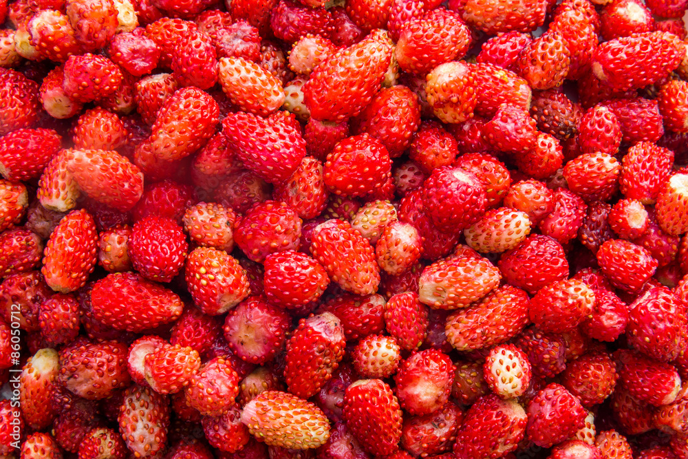 wild strawberry background wild strawberry background