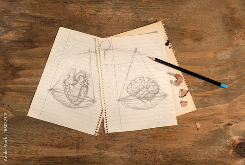        Disegno a matita di cuore e cervello su tavolo di legno grezzo.