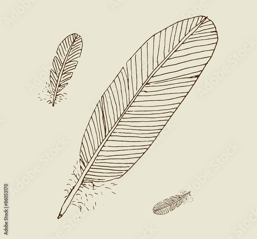 Feathers