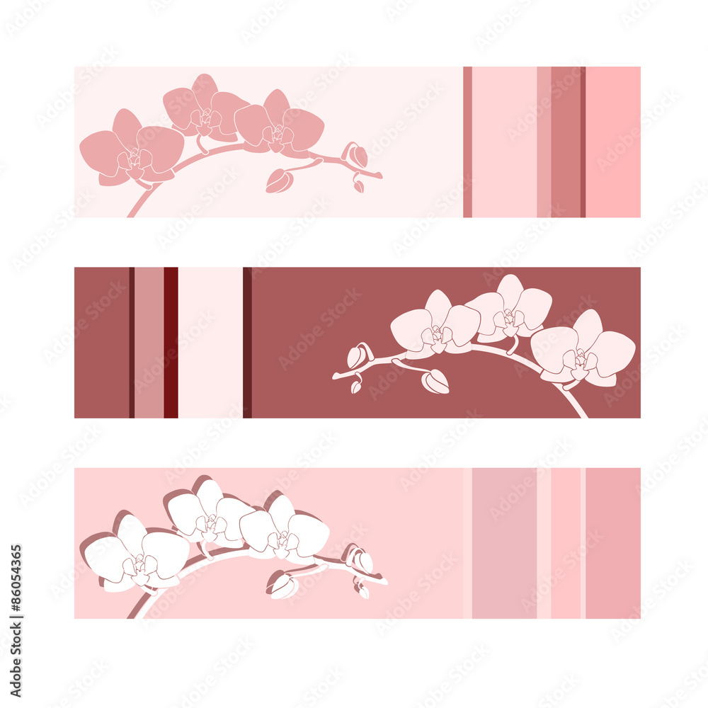 Flower vector background. Flower vector background.