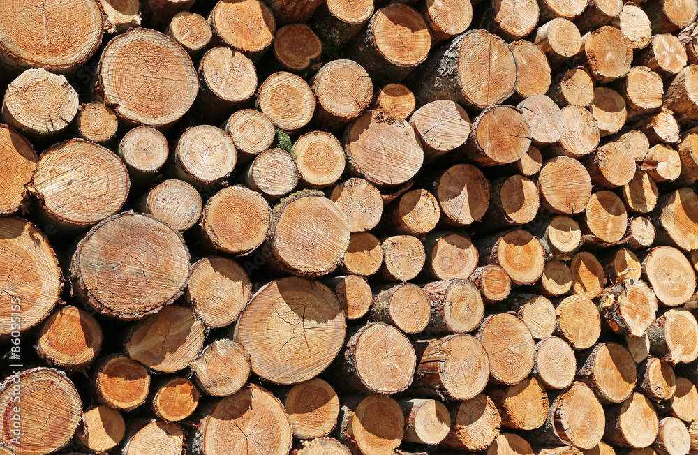 Holzlagertextur_2015