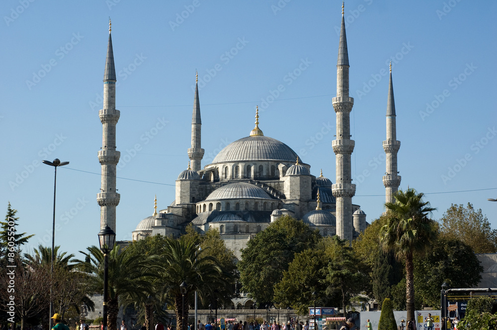 Obraz premium La moscea blu di Istanbul in Turchia 