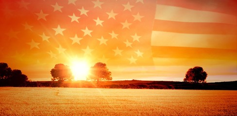 Composite image of united states of america flag