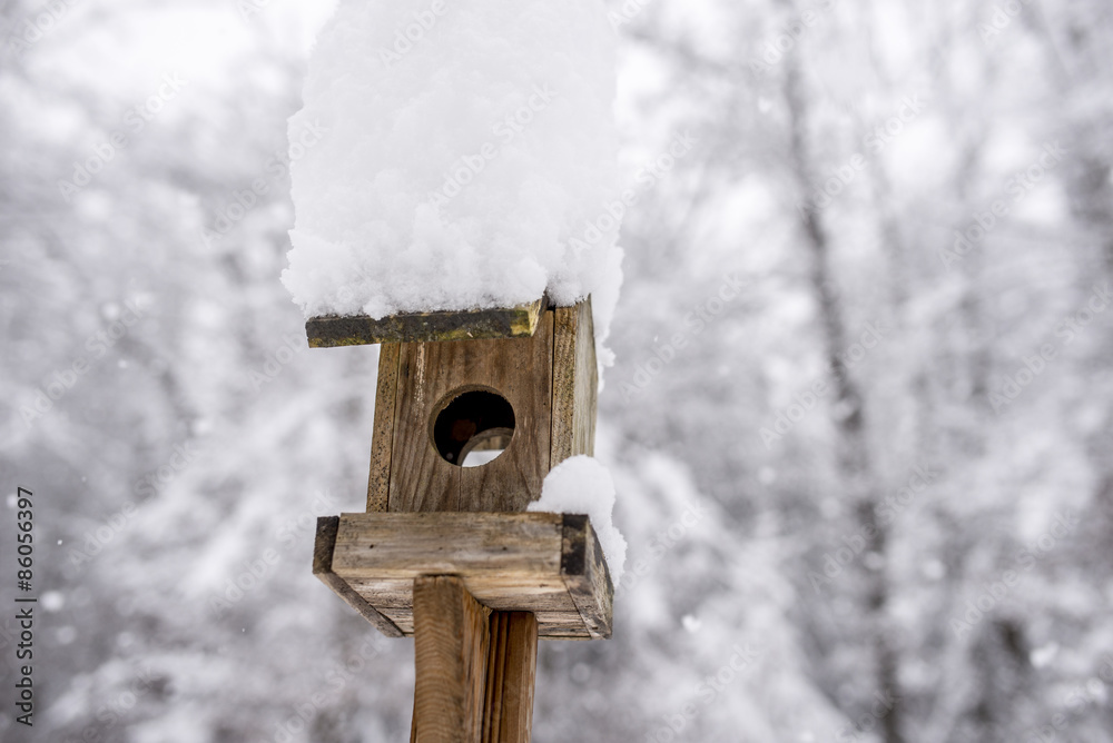 Snow piled high on a wooden bird box